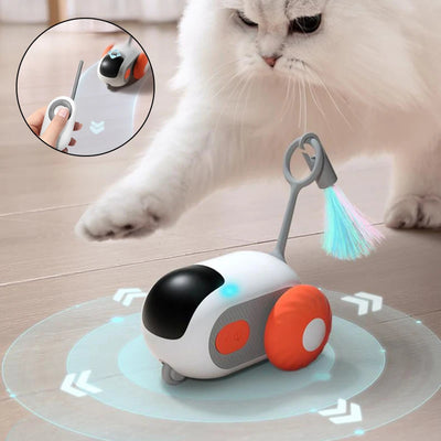 Crazy-Joy Car Pet Toy