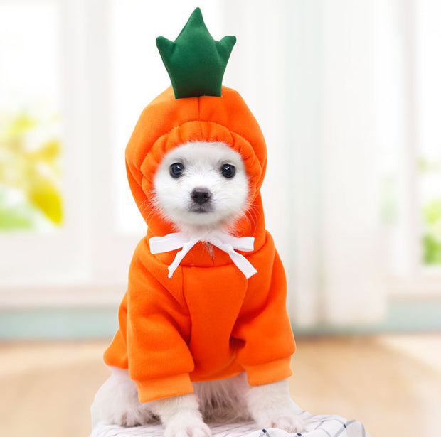 Cute Fruit Pet Clothes