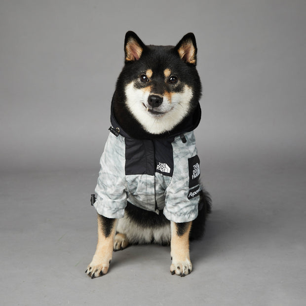 Pet Shell Jacket