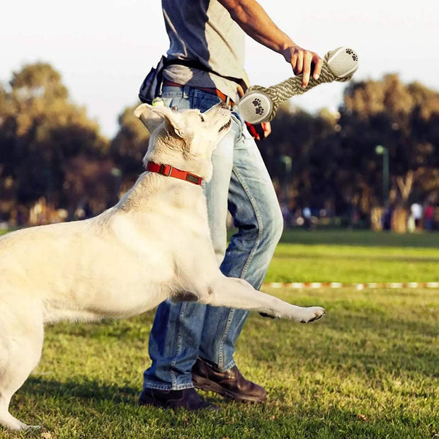 Tennis Ball Rope Pet Toy