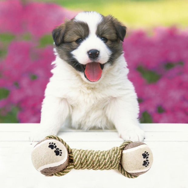 Tennis Ball Rope Pet Toy