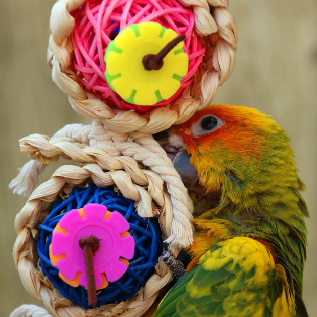 Pet Bird 3 Ring Bite Toy