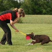 Pet Biting Chewing Hemp Interactive Dog Training Pillow