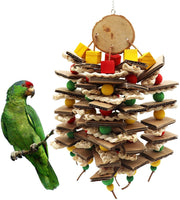 Parrot Logs Gnawing On Corn Husks And Skewers