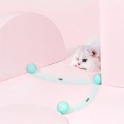 Crazy-Joy Car Pet Toy