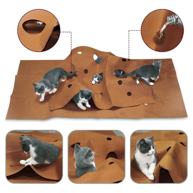 Pet Training Play Mat