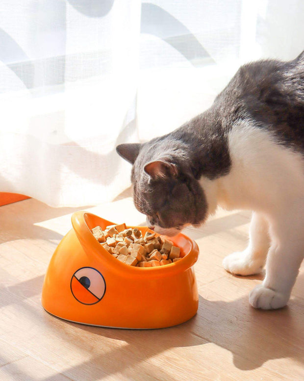 Goldfish Mouth Food Bowl