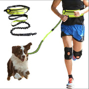 Hands free pet leash with pocket and bottle holder