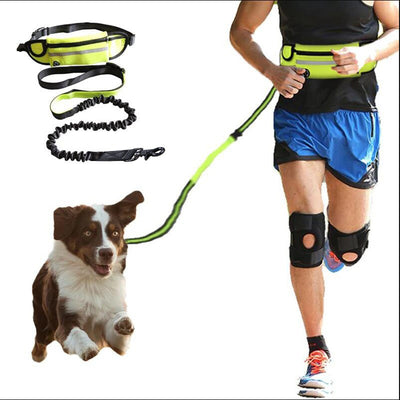 Hands free pet leash with pocket and bottle holder