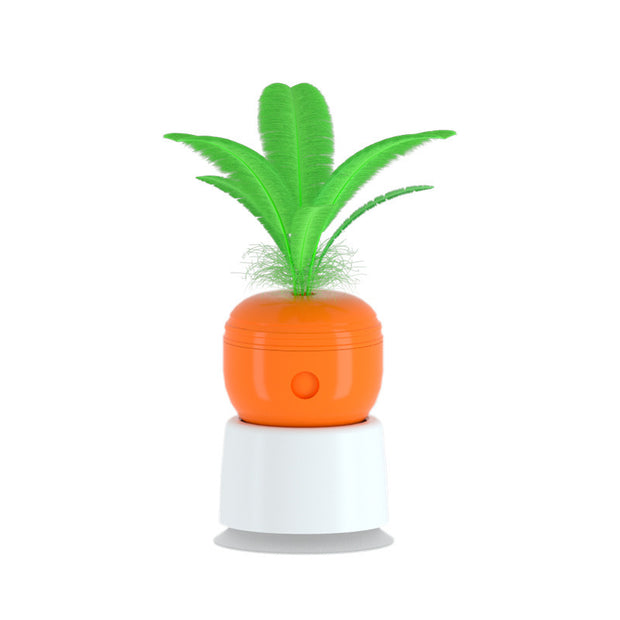 Springy Carrot Toy