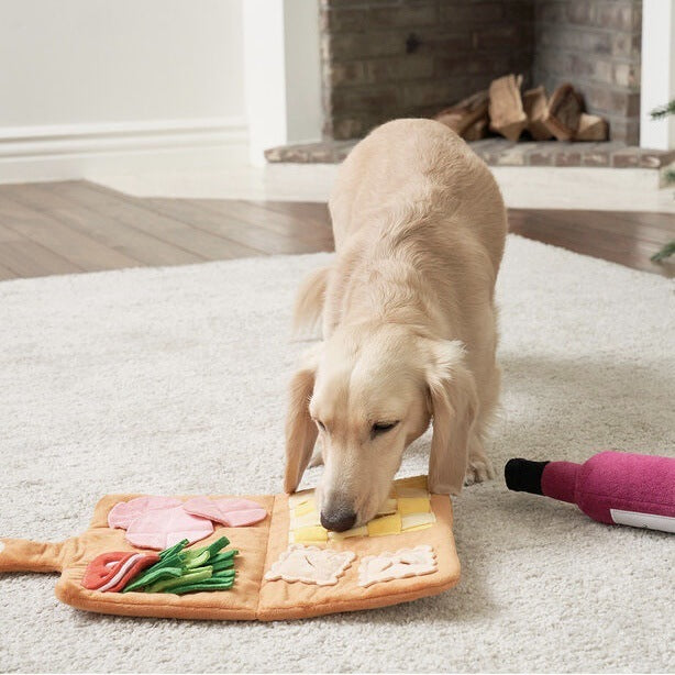 Dog Educational Smell Pad Food Hiding Intelligence Toys