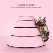 Stainless Steel Food Bowl