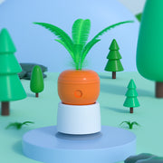 Springy Carrot Toy