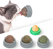 Potaroma Catnip Toys Balls 4 Pcs Wall Treat