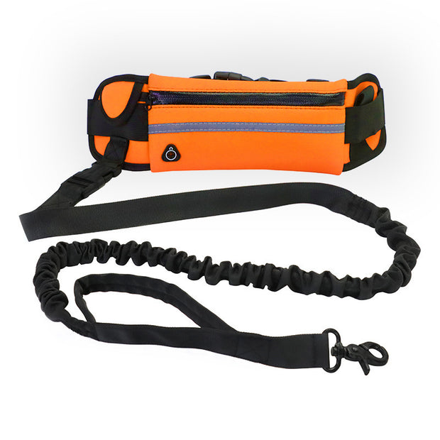 Hands free pet leash with pocket and bottle holder