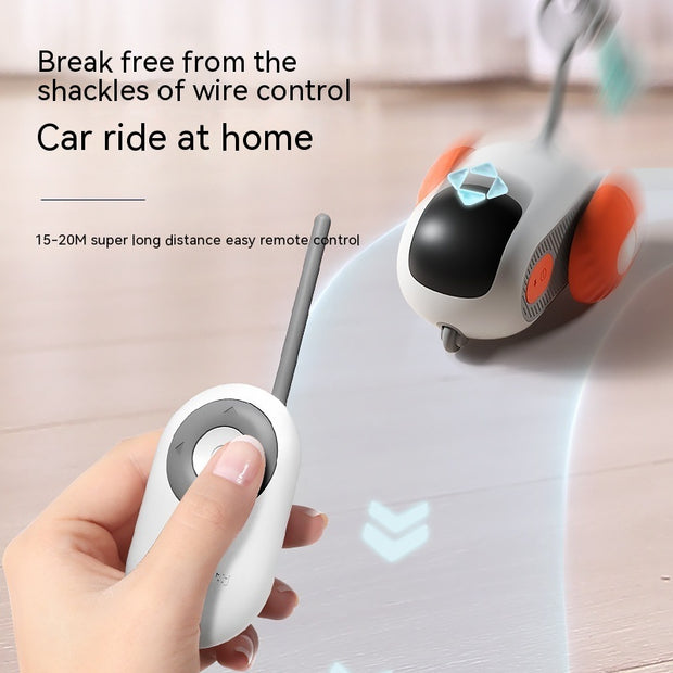 Crazy-Joy Car Pet Toy