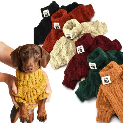 Autumn Pet Sweater