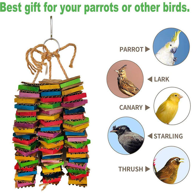 Parrot Gnawing Toy Blocks