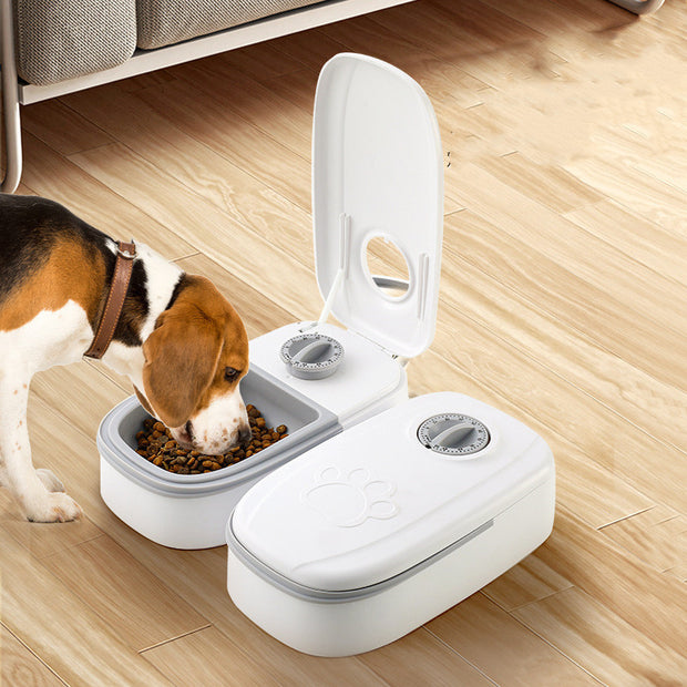 Automatic Pet Food Dispenser